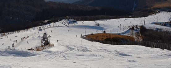 福岡ゲレンデ九重森林スキー場