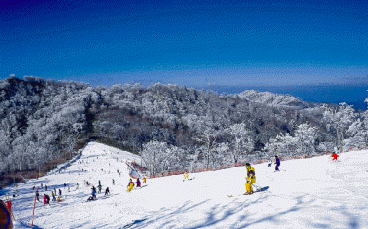 福岡スキー場宮崎