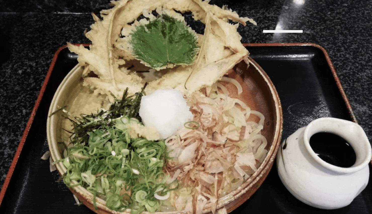 【大地のうどん】毎日行列の極上の味の博多うどんを紹介