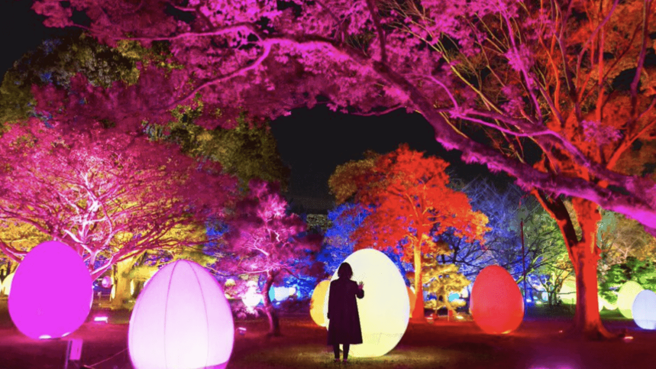 チームラボ福岡城跡光の祭2019-2020！舞鶴公園で2年ぶりに開催 