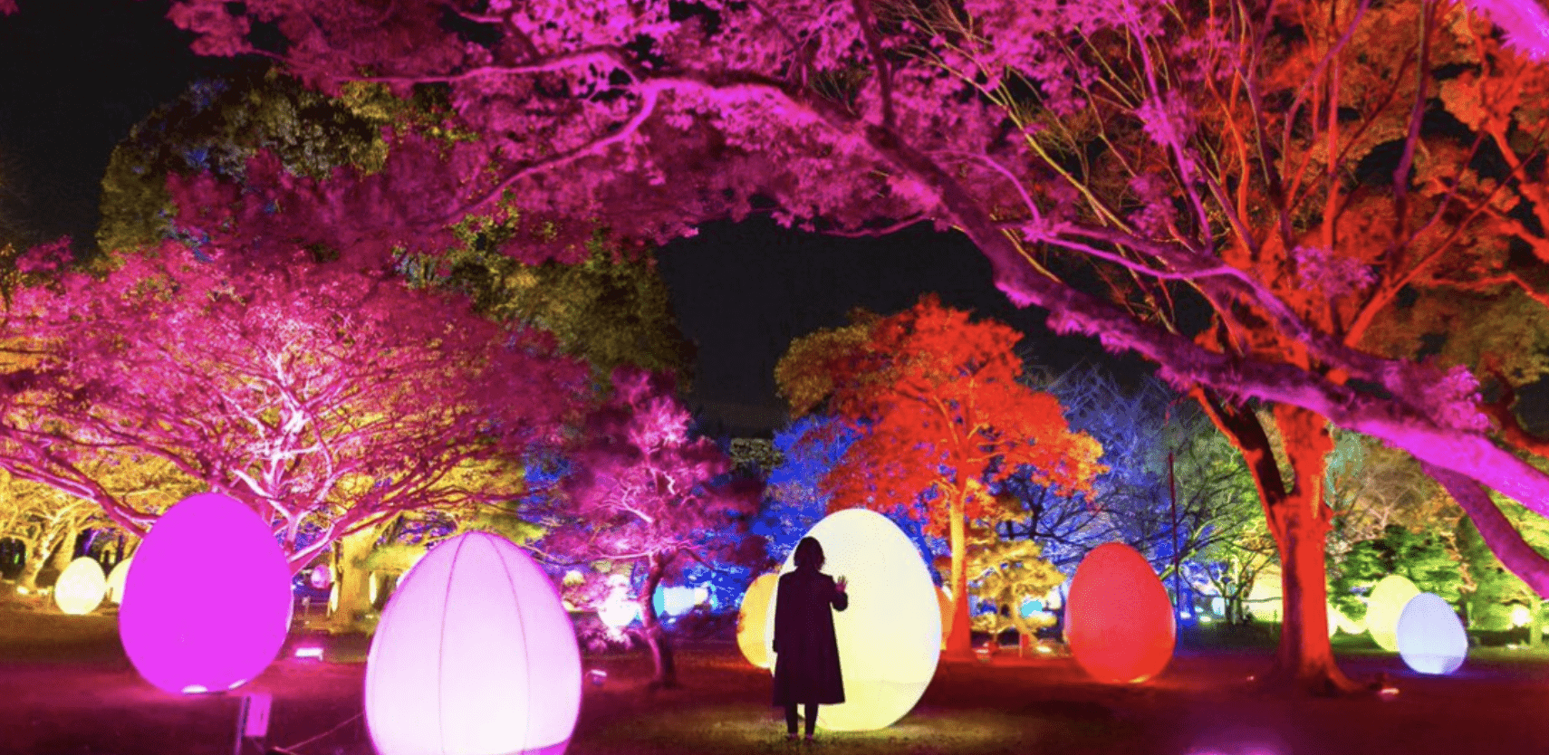 チームラボ福岡城跡光の祭2019-2020！舞鶴公園で2年ぶりに開催！