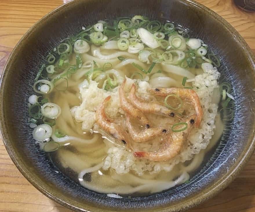 葉隠うどん