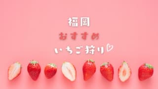 21年最新 福岡でぶどう狩りができる果樹園 田主丸やうきはが人気エリア 料金相場や時期も解説 なるほど福岡 21年最新 福岡でぶどう狩りができる果樹園 田主丸やうきはが人気エリア 料金相場や時期も解説 なるほど福岡