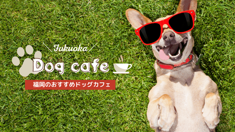 【ドッグカフェ】福岡で犬と同伴&触れ合えるおすすめドッグカフェ・レストラン特集