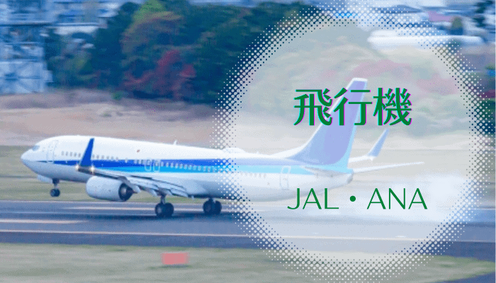 飛行機（JAL・ANA）