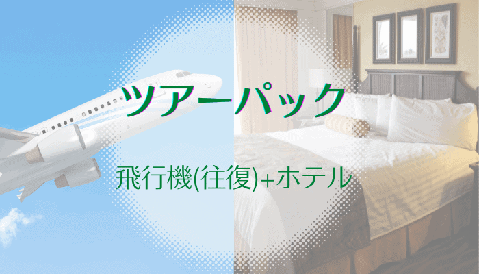 最安値 福岡 東京に安く行く方法 格安ツアーパック 新幹線 飛行機 車で一番安い方法を比較 なるほど福岡