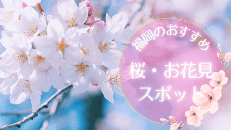 【2023年花見】福岡の花見で行きたい綺麗な桜スポット！ライトアップ・夜桜も必見