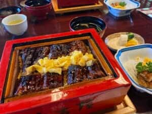 【創業300年】元祖本吉屋でうなぎのせいろ蒸しを食す！柳川名物うなぎを食べるならここ。おすすめメニューや持ち帰り情報も