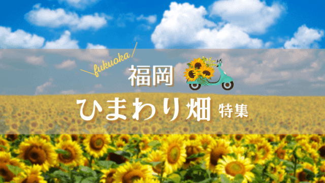 福岡　ひまわり畑