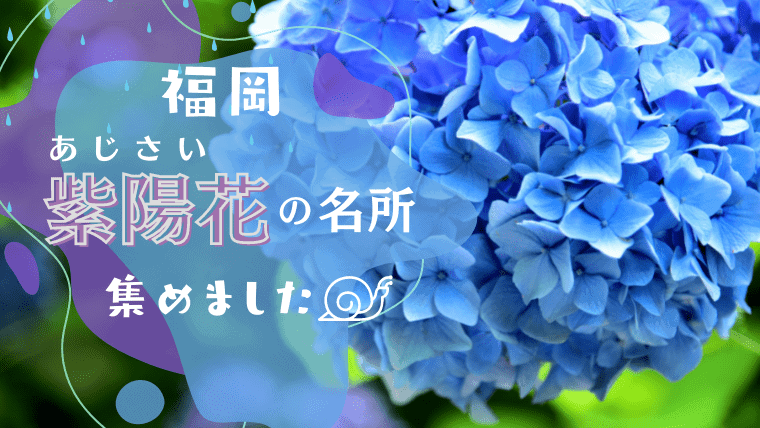 【2023年版】福岡のあじさい（紫陽花）の名所25選！福岡の寺や神社の有名な紫陽花スポットに出掛けよう