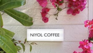 【西新】NIYOL COFFEE｜ブーゲンビリアがインスタで話題！自家焙煎コーヒーが魅力のカフェ