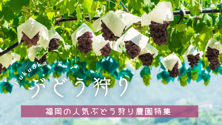【2023年最新】福岡でぶどう狩りができる果樹園｜田主丸やうきはが人気エリア！料金相場や時期も解説