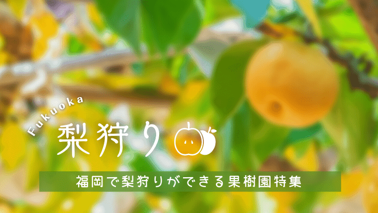 【2023年最新】福岡で梨狩りができる果樹園｜うきは・朝倉がエリア！料金相場や時期も解説