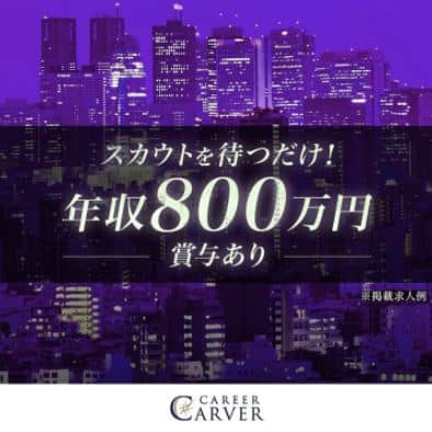 キャリアカーバー