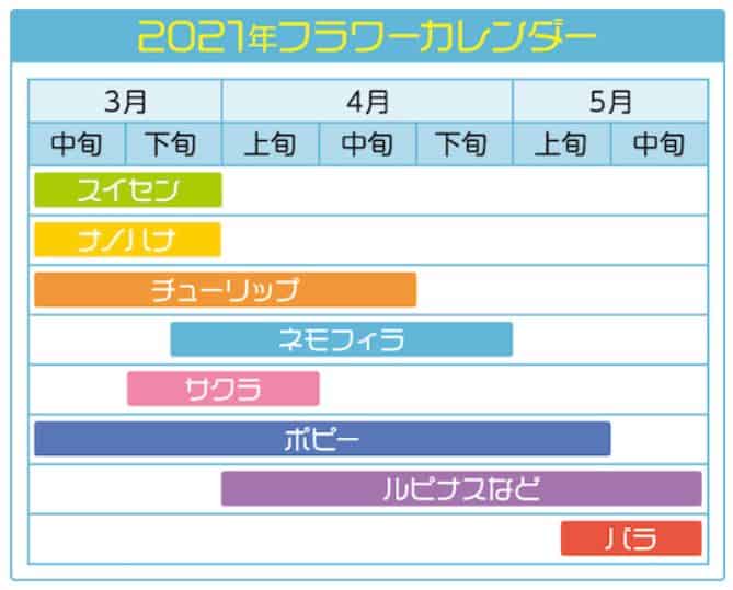 海の中道フラワーピクニック