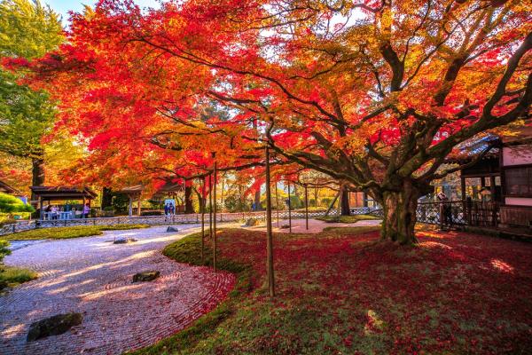 2022年の雷山紅葉