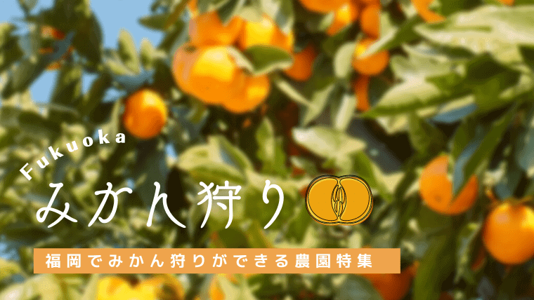 【2023年最新版】福岡でみかん狩りができるおすすめの果樹園特集