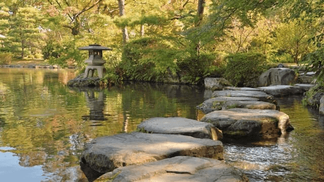 石橋文化センターのツバキ