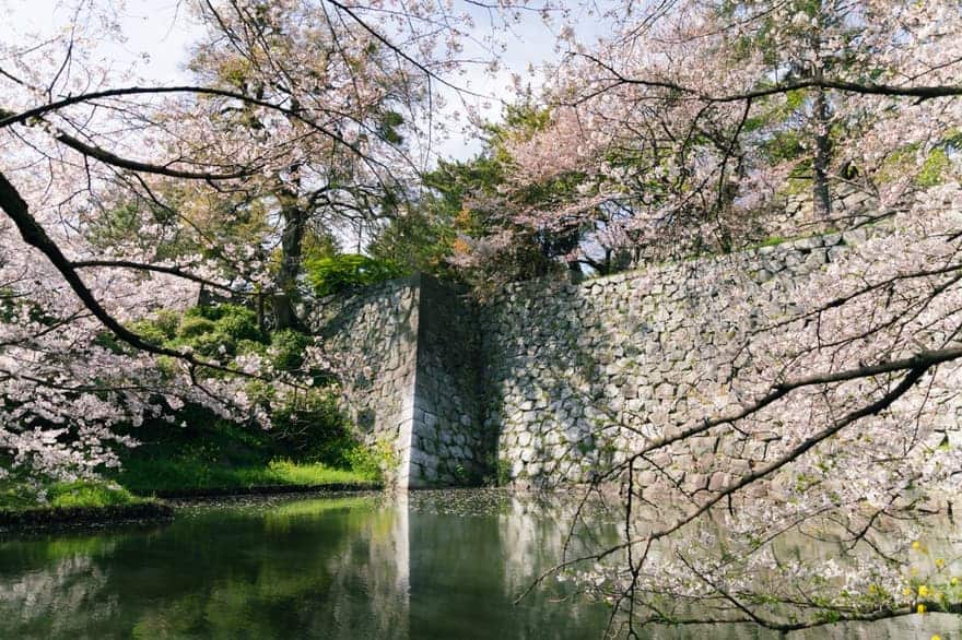 久留米城跡(篠山神社)