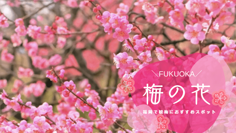 【2023年】福岡でおすすめの梅の花の名所13選！観梅で有名なスポット特集