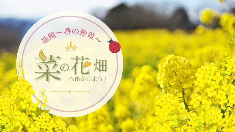 【2023年最新版】福岡で絶景の菜の花畑を見に行こう！開花時期はいつからいつまで？