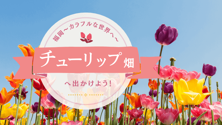 2023年最新！福岡のチューリップ畑特集｜開花時期や九州各地のおすすめスポットも紹介