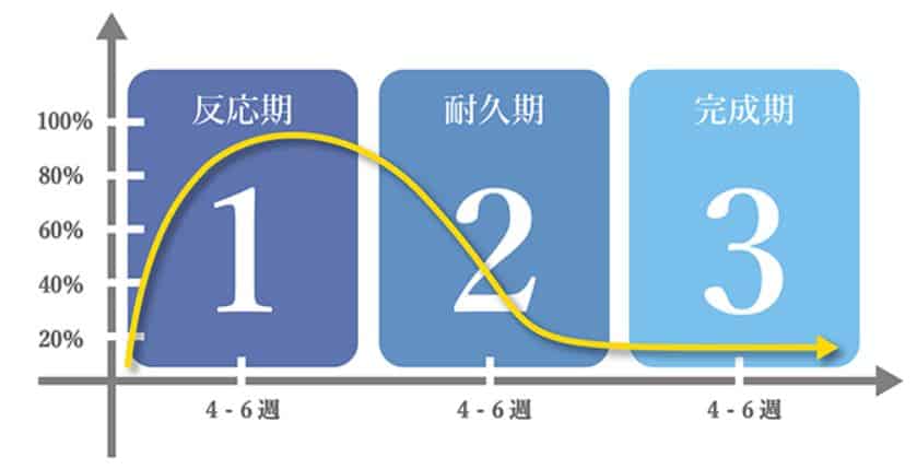 ゼオスキン反応期と耐久期と完成期