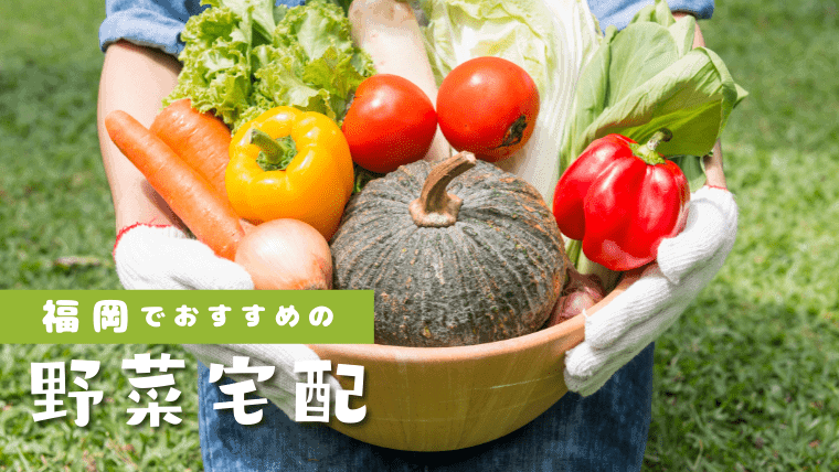 【超便利！】福岡でおすすめの野菜宅配！無農薬野菜にこだわった安くて直送の野菜宅配を比較