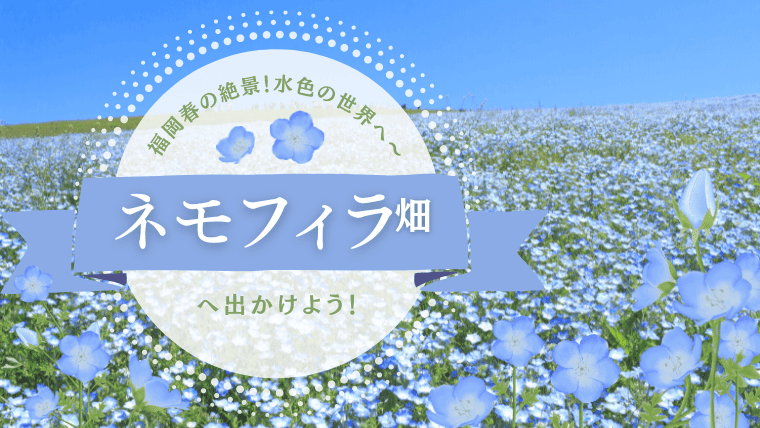 【2023年最新】福岡の絶景ネモフィラ畑4選！九州各地のネモフィラの名所や今年の見頃時期