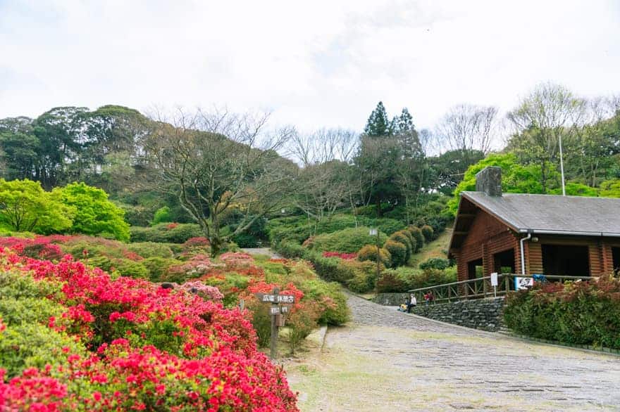 久留米森林つつじ公園