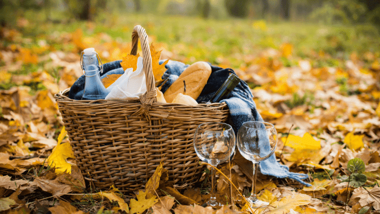 福岡で秋におすすめのピクニック