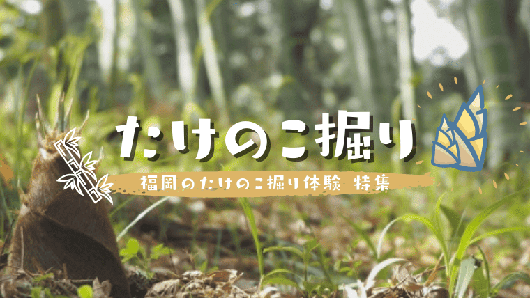 【2023年度版】福岡でたけのこ掘り体験をしよう！福岡県産たけのこの時期・合馬のたけのこが買える販売所も紹介