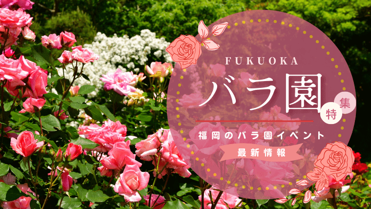【2023年】福岡のバラ園名所おすすめランキング｜見頃や開花状況・開催イベント情報も