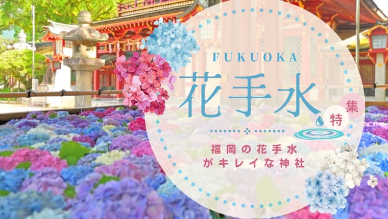 2022年最新｜福岡できれいな花手水が見られる神社・お寺特集！紫陽花が浮かぶ花手水が各所で話題