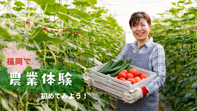 福岡で農業体験しよう！気軽に日帰りで楽しめる収穫イベントや農泊で自然体験