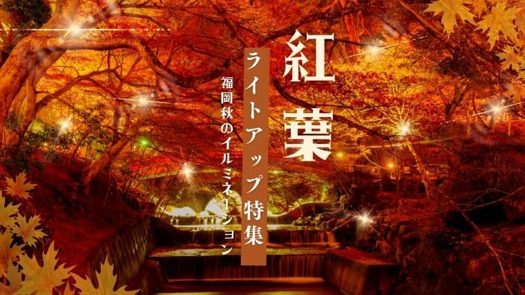 2023年福岡の紅葉ライトアップおすすめランキング！今年の秋は注目ライトアップイベントを観に行こう