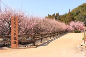 普光寺