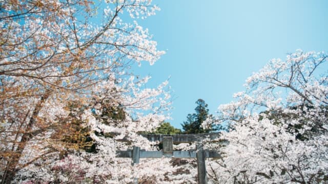 竈門神社