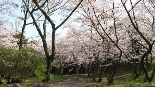 平原公園