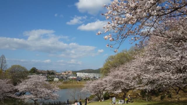 浦山公園