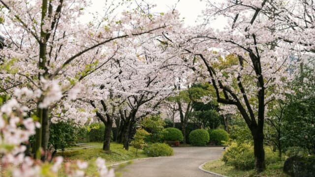 石橋文化センター