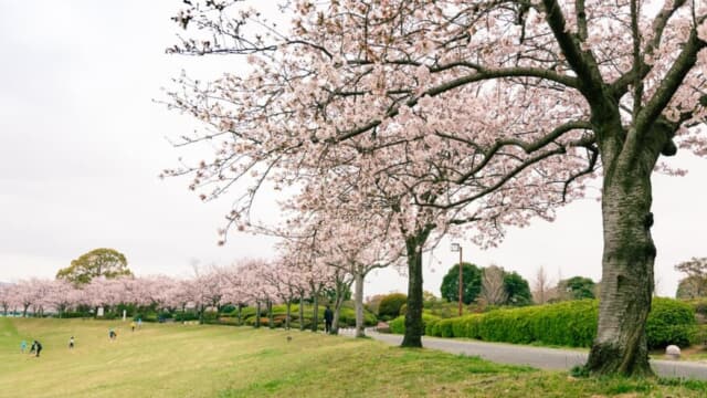 久留米百年公園