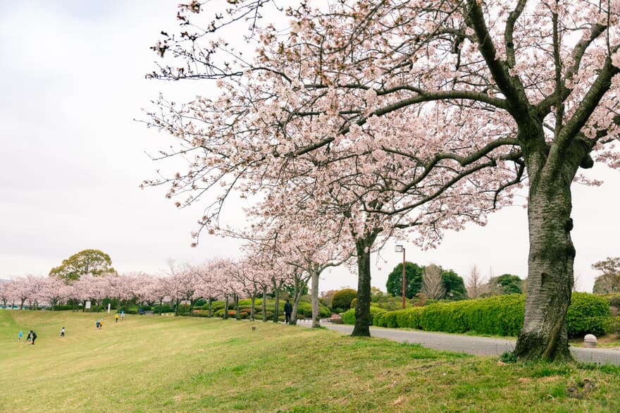 久留米百年公園