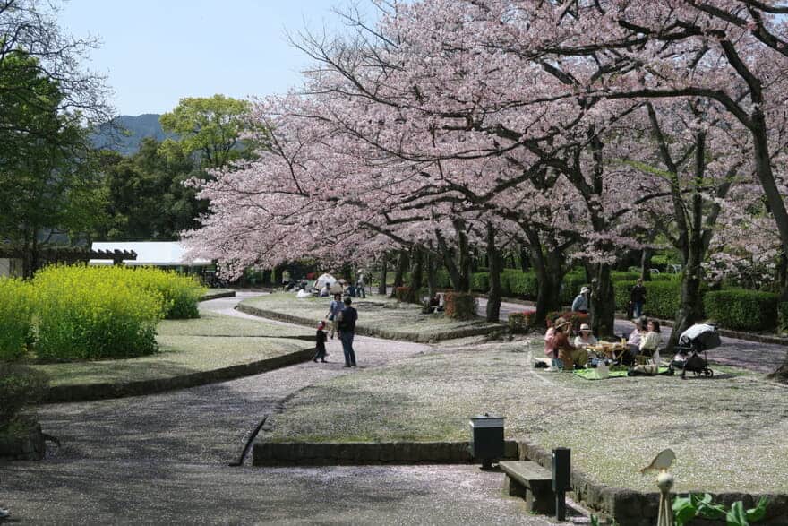 花畑園芸公園