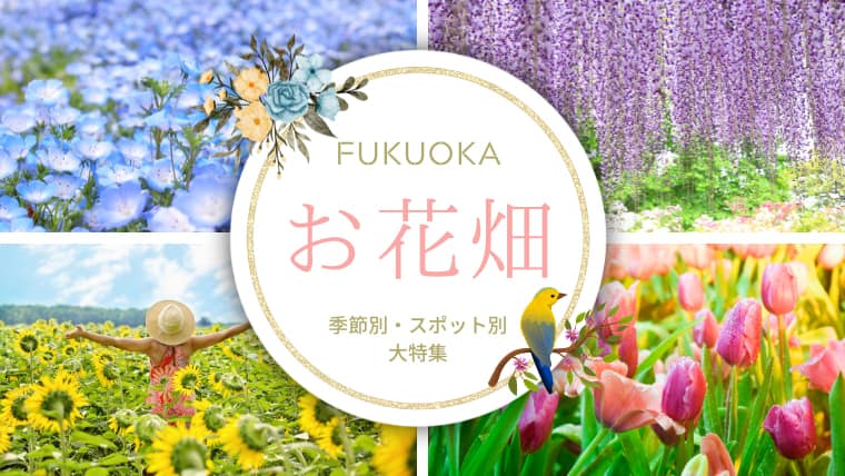 福岡のお花畑で癒やされよう！福岡のお花畑スポットやお花畑イベント特集！見頃のお花畑を確認しよう！