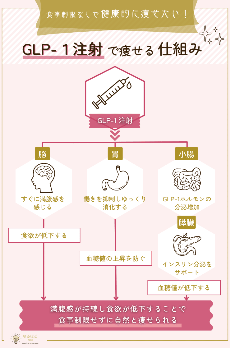 GLP-１注射の作用を解説した画像