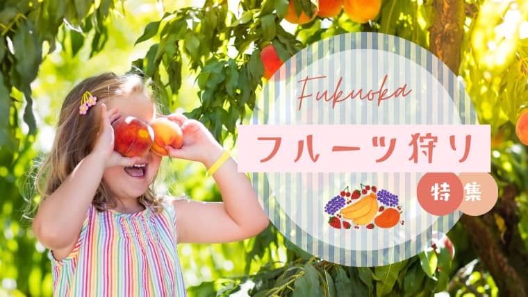 【月別・エリア別】福岡で果物狩りを楽しもう！福岡の人気果物狩りエリアや月別で収穫できるフルーツを特集！