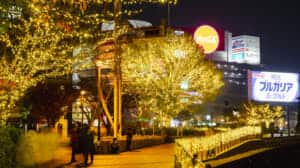 「ナカス ヒカリノ アドベント」11/2点灯式！福岡中洲の冬を彩るイルミネーション